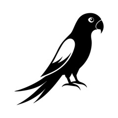 Carolina Parakeet Bird Outline for Wildlife Illustrations and Nature Themes.