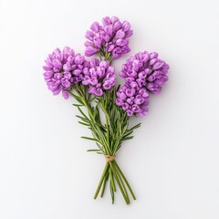 Fototapeta premium Purple flower bouquet with green stems, white isolated background.
