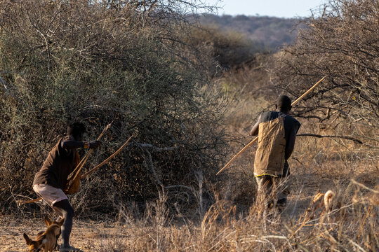 Hadzabe Hunters in Tanzania 