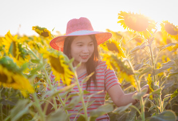 Portrait of beautiful asian girl in sunflower field at sunset. Beautiful asian woman in sunflower field at summer day.