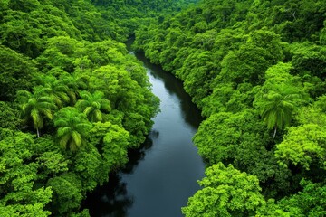 Fototapeta premium Earth Amazon rainforest, with dense greenery and a river snaking through the jungle, teeming with life