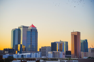Obraz premium Tampa, Florida USA - Dec 01, 2024: Tampa downtown and Waterfront walk sunset sun set landscape 