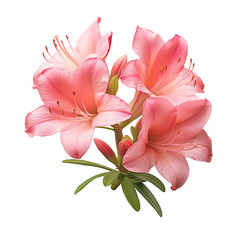 Obraz premium Beautiful Pink Lily Bouquet. Floral Arrangement, Spring Flowers, Romantic, Soft Colors, Nature, Gift, Decoration