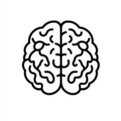 A simple human brain illustration on a white background. 