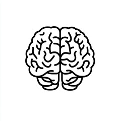 A simple human brain illustration on a white background. 