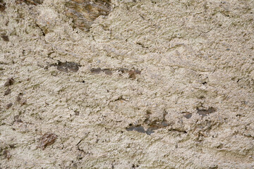 Antique Beige Plaster Wall Texture - Rustic and Timeless