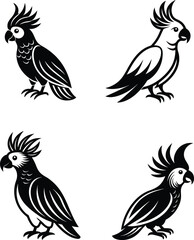 Cockatoo Silhouette Vector Illustration