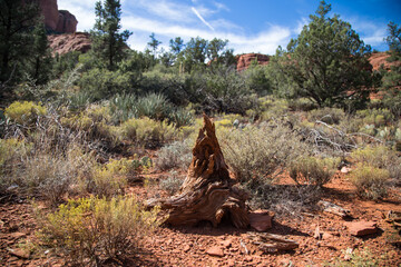 landscape Sedona desert, Arizona, hike activity