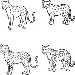 A Jaguar Line Art Vector Illustration