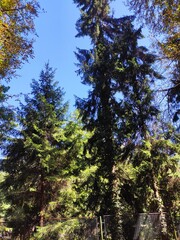 Nature photos. The eye of Ilidza and Ilidza, Sarajevo