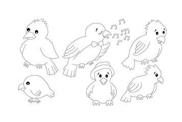 Outline of six birds of different shapes. Vector illustration on a white background