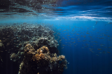 Reef with corals and fish underwater in blue ocean.