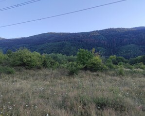 Nature photos. The eye of Ilidza and Ilidza, Sarajevo