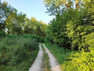 Nature photos. The eye of Ilidza and Ilidza, Sarajevo