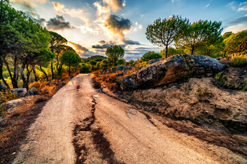 Sunrise at the pathway to the stream