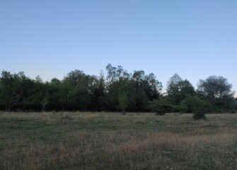 Nature photos. The eye of Ilidza and Ilidza, Sarajevo