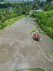 Richfields with water