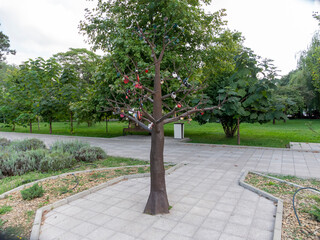 Abrau Durso, Russia 28 August 2024: Picturesque view of embankment of lake Abrau on sunny day in Abrau Durso