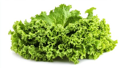 Fototapeta premium Fresh Green Lettuce - A Healthy and Delicious Vegetable
