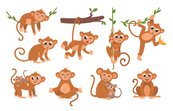 Cute monkey characters. Cartoon jungle monkeys on liana, hold banana, with baby. Tropical animals in various poses, funny classy vector set
