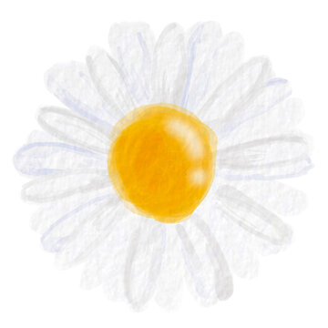 watercolor daisy flower with yellow center clip art preview