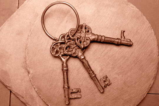Bunch of old keys on plates close up. Objects on Mocha brown background. Concept photo. Demonstrating color of 2025 year