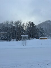 Snowy Path Leading to a Torii Gate in Winter Landscape