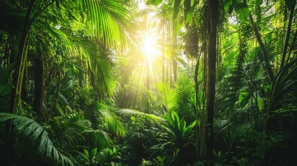 Enchanting Jungle Sunburst Lush Greenery, Sunlit Canopy, Tranquil Forest Scene for Eco-Tourism, Nature Editorial - Vibrant Rainforest Foliage