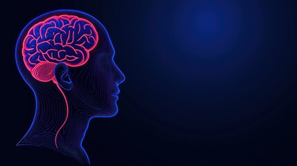 Human Brain Anatomy: A Digital Representation of the Neurological System