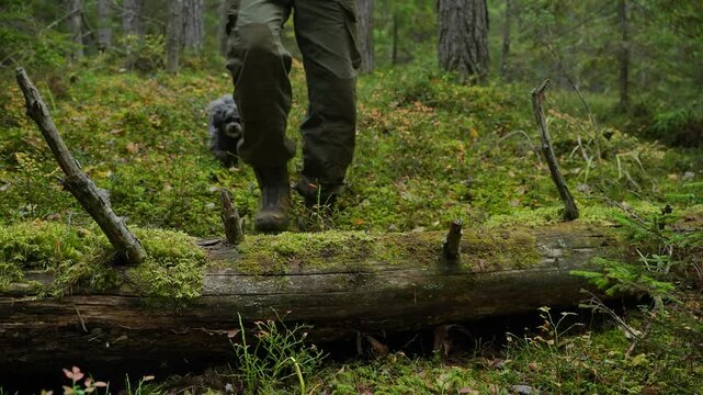 Close-up: A hunter and his dog step over a fallen tree trunk. A soldier in tactical boots steps over a lying tree trunk. A dog follows a hiker over a fallen tree