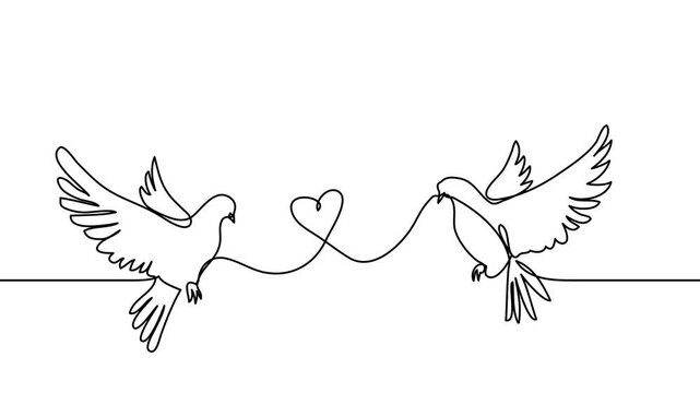 Couple of doves or pigeons with hearts. Valentines day social media animation template. One continuous line art drawing footage of dove birds love
