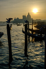 Santa Maria della Salute at sunset, venice