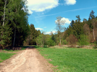 Wanderweg am Rand von Wald und Wiese im Pfälzerwald bei Pirmasens im deutschen Bundesland Rheinland-Pfalz. Aussicht vom Premium-Wanderweg Felsenwald Pirmasens.