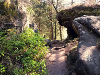 Schmaler Wanderweg durch Felsen im Pfälzerwald bei Pirmasens im deutschen Bundesland Rheinland-Pfalz. Aussicht vom Premium-Wanderweg Felsenwald Pirmasens.
