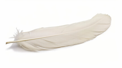 Obraz premium white feather isolated on white