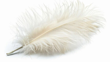 Fototapeta premium white feather isolated on white