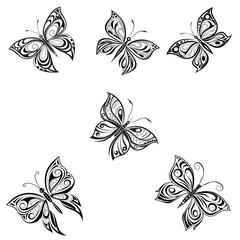 butterflies and flowers