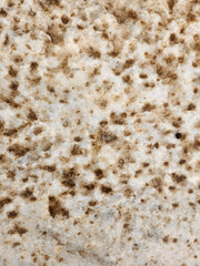 ancient stone marble texture