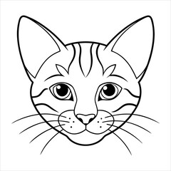 Obraz premium vector illustration of a cat