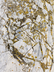 ancient stone marble texture