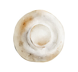 Hand-drawn White button Mushroom illustration isolated. Agaricus bisporus. Cultivated. Edible fungi collection. Foraging