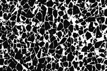 Obraz premium black and white photo of a rock patterned surface. The photo is grainy and has a rough texture
