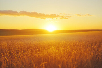 Obraz premium Golden sunset over a serene field of wheat with vibrant colors in the sky. Generative AI