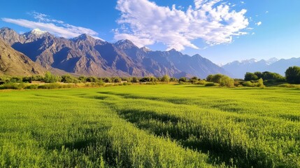 Fototapeta premium Majestic Mountain Range Morning View - Serene landscape, majestic mountains, vibrant green field, clear blue sky, tranquil morning. Symbolizing peace, nature's beauty, serenity, vastness, and new begi