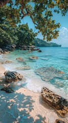 Tropical Beach Paradise Crystal Clear Water Pristine Sand Rocks