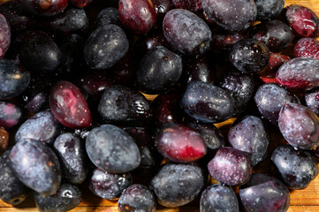 Freshly harvested plums glisten under soft light on a rustic wooden surface in a warm kitchen