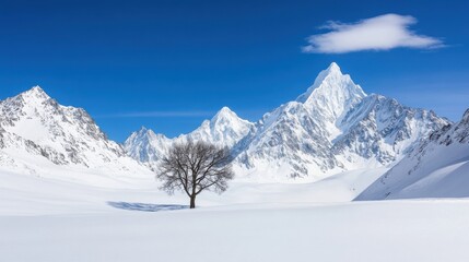 Fototapeta premium Majestic Snow-Covered Mountains with a Lonely Tree Under a Clear Blue Sky in a Stunning Winter Wonderland Landscape