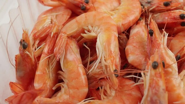 tas de crevettes roses, en gros plan