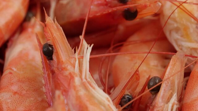 tas de crevettes roses, en gros plan