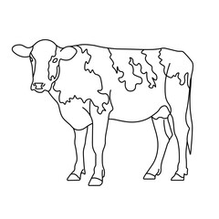 Vector linear black and white illustration of a cow
